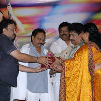 Company Movie Audio Launch - Pictures | Picture 99914